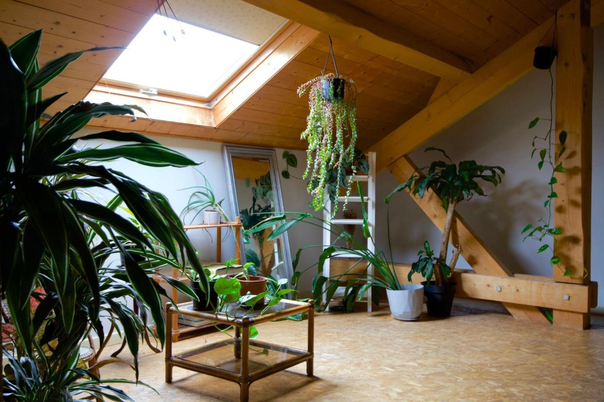Loft Haut De Gamme Entre Verdure Et Ville Chaudefontaine  Dış mekan fotoğraf